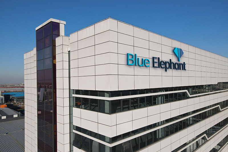 Blue Elephant Company