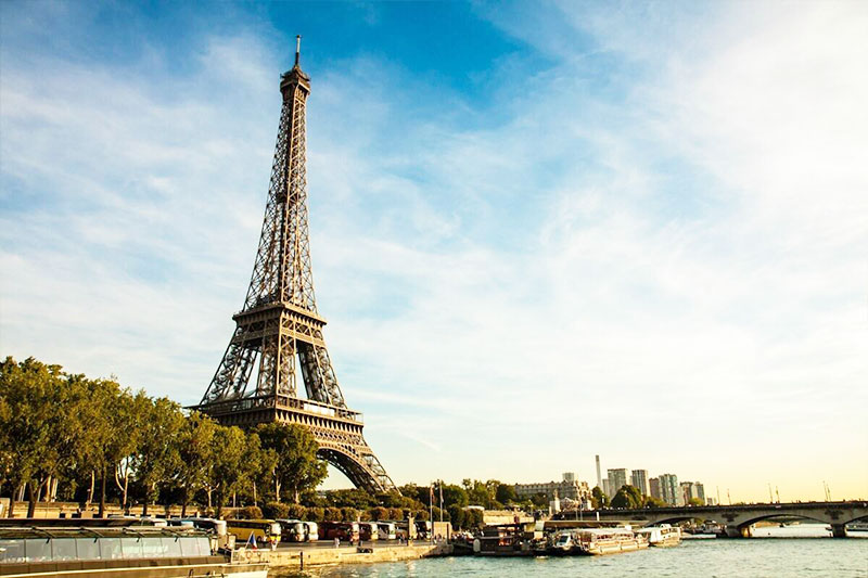 Blue Elephant provides technical support for global users-in France