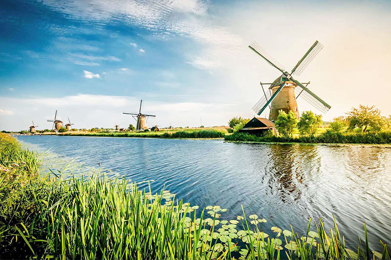 Blue Elephant provides technical support for global users-in Netherlands