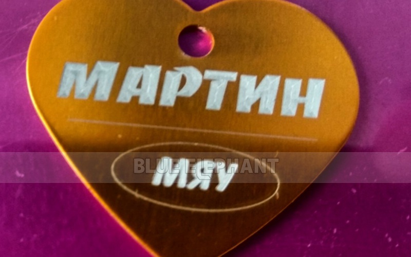 Our Russian Customer and Laser Marking Machine (1)