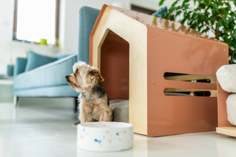 High Efficiency Furniture Production Line Makes Pet Furniture